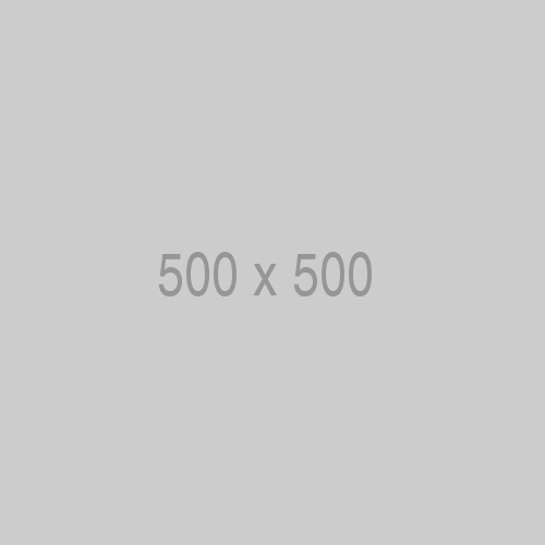 500x500